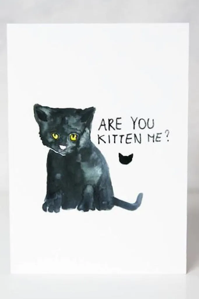 Are You Kitten Me