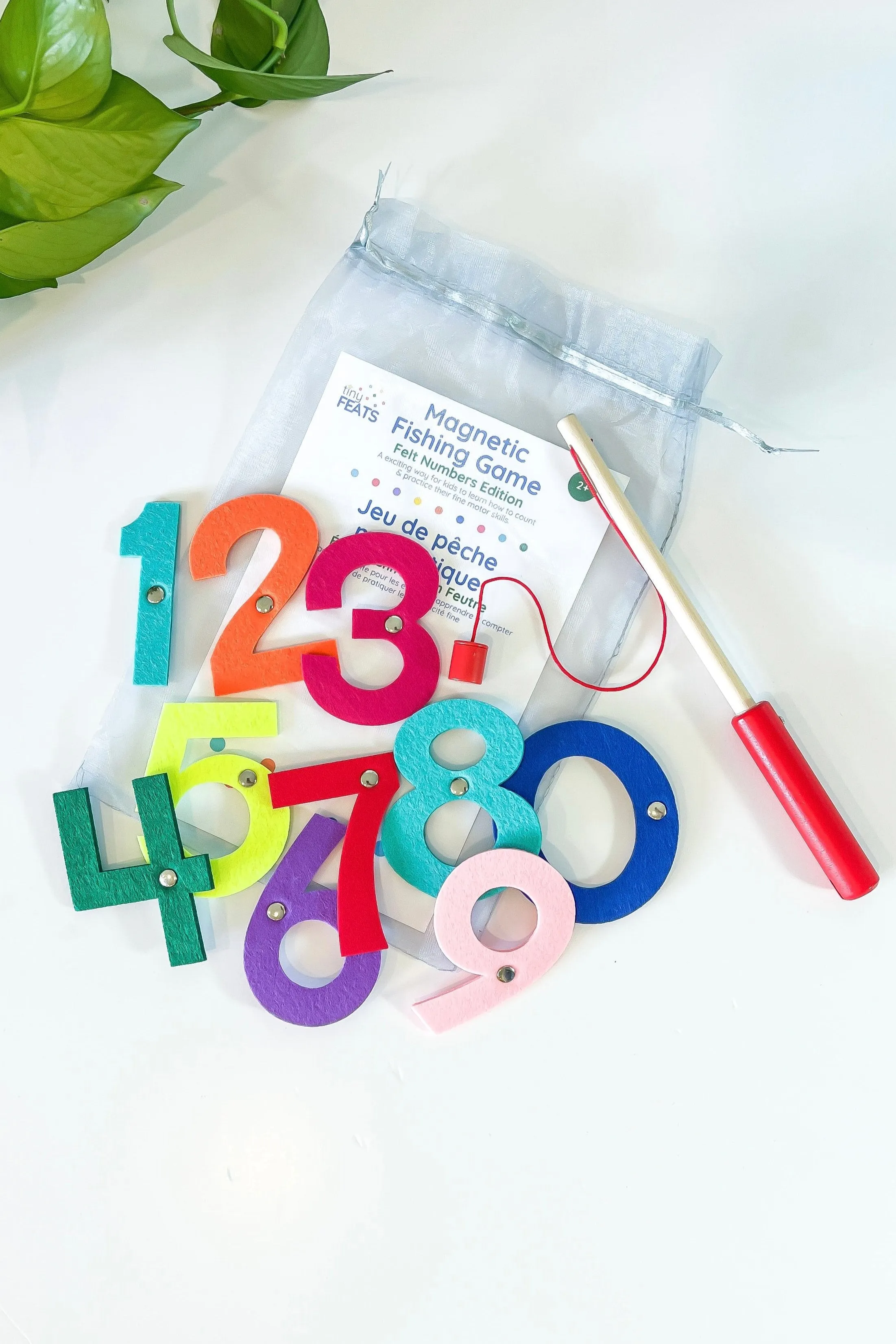 Numbers Fishing Game Toy