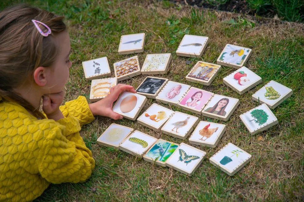 TickiT Woodland Lifecycle Educational Tiles