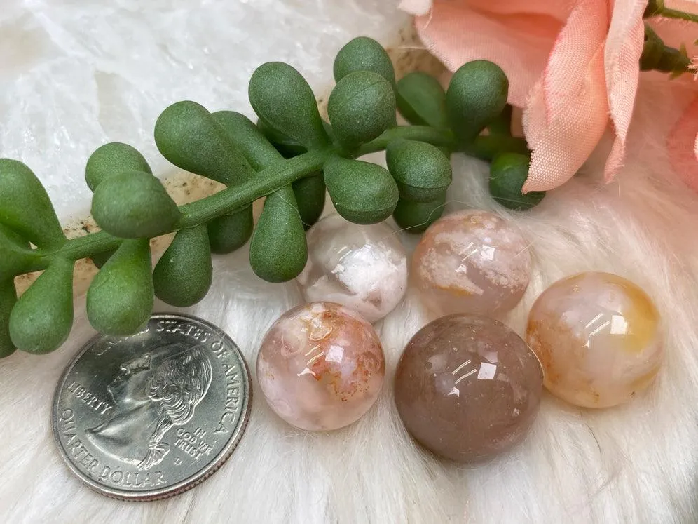 Tiny Flower Agate Spheres